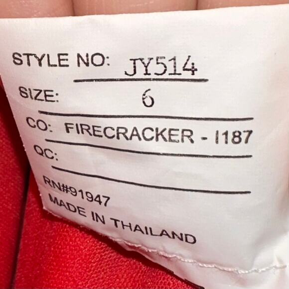 JY Jenny Yoo JY514 Bridesmaid Full Length Dress Gown Firecracker Size 6 - Picture 5 of 14